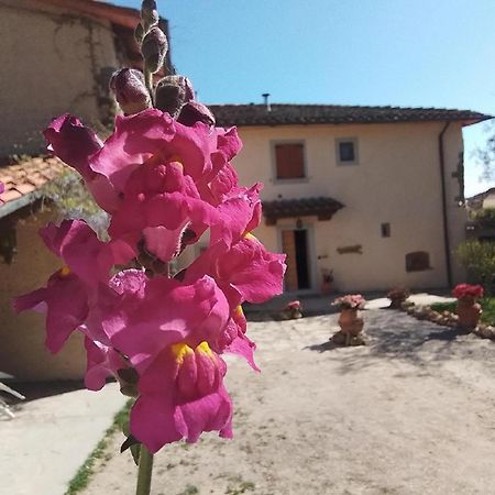 Casa Vacanze Podere Ugolini Ронта Экстерьер фото