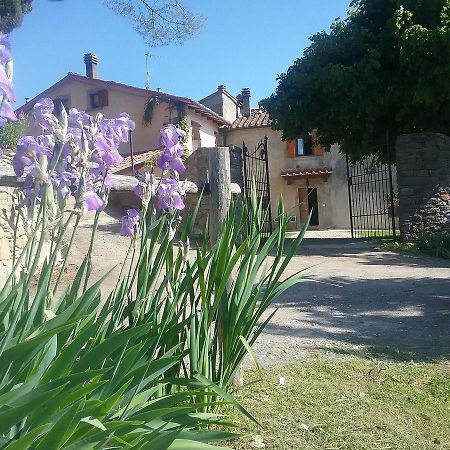 Casa Vacanze Podere Ugolini Ронта Экстерьер фото