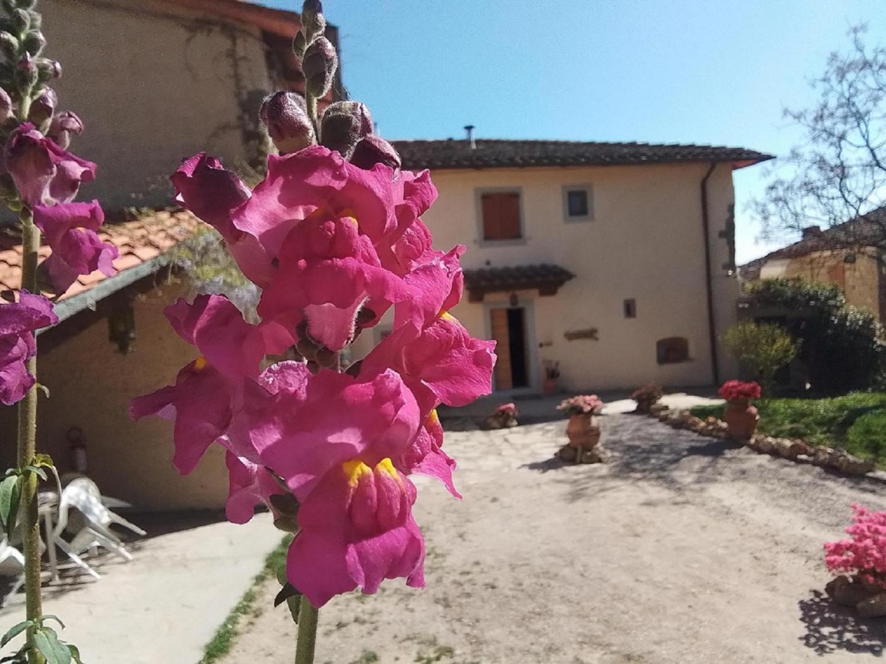 Casa Vacanze Podere Ugolini Ронта Экстерьер фото