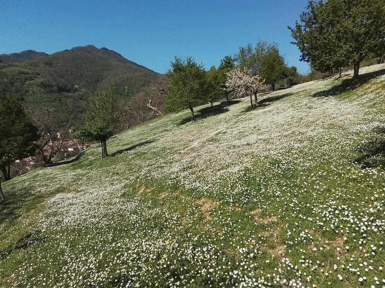 Casa Vacanze Podere Ugolini Ронта Экстерьер фото