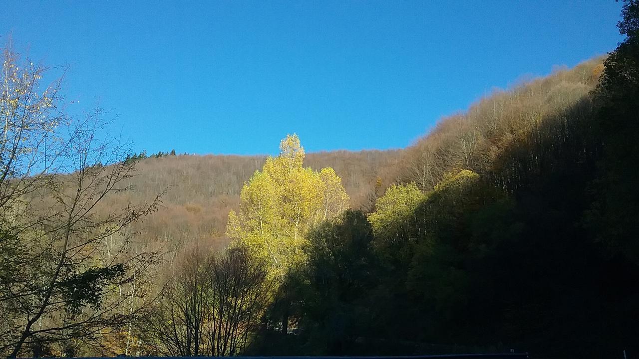 Casa Vacanze Podere Ugolini Ронта Экстерьер фото