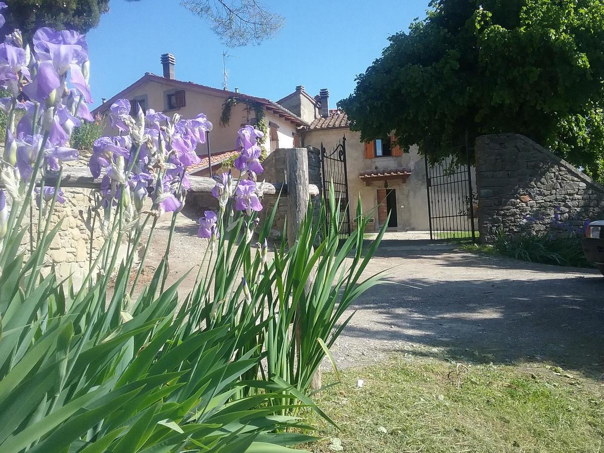 Casa Vacanze Podere Ugolini Ронта Экстерьер фото